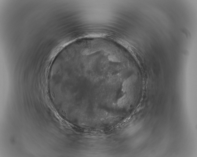 X0000111010337200906261524