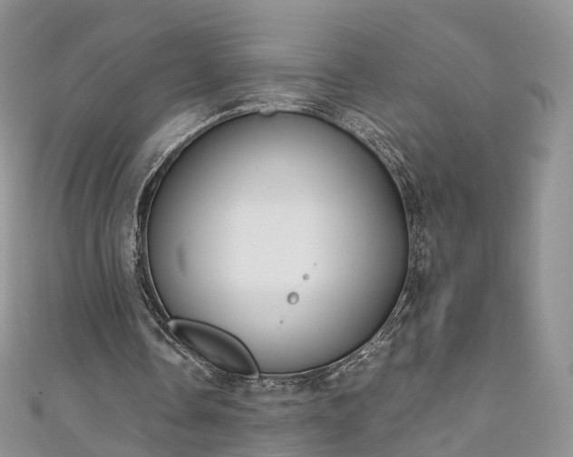 X0000111010338200906261524