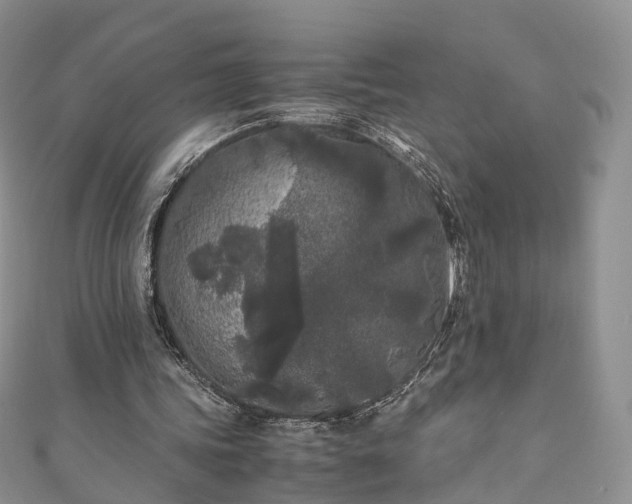 X0000111010339200906261524