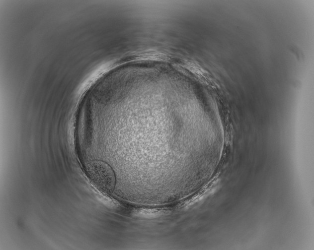 X0000111010341200906261524