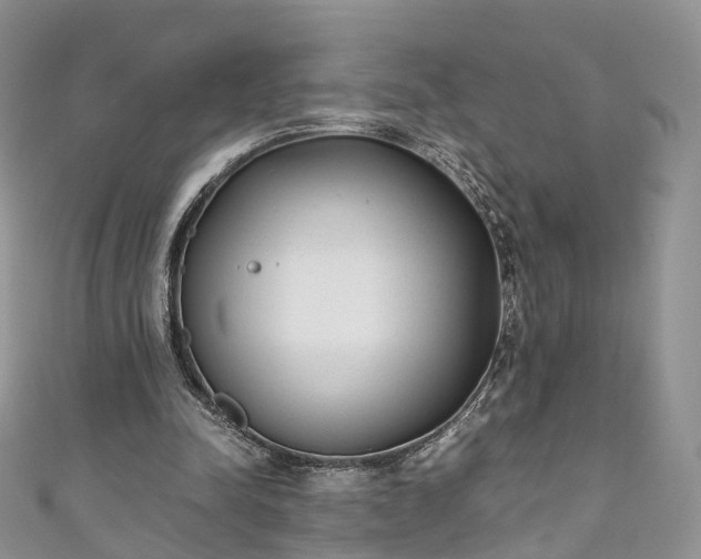 X0000111010342200906261524