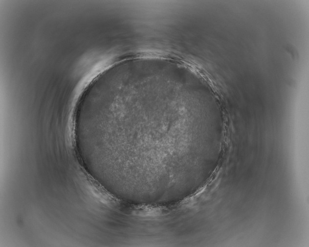 X0000111010343200906261524