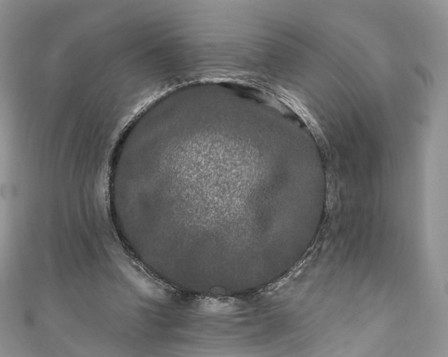 X0000111010346200906261524