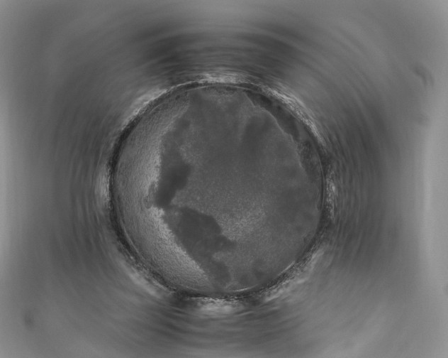 X0000111010347200906261524
