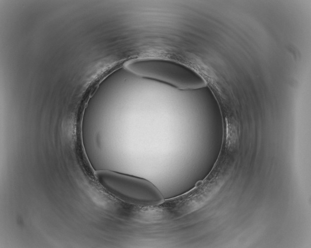 X0000111010348200906261524