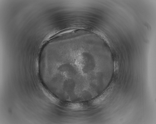 X0000111010349200906261524