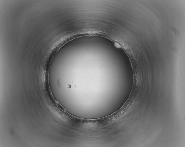 X0000111010350200906261524