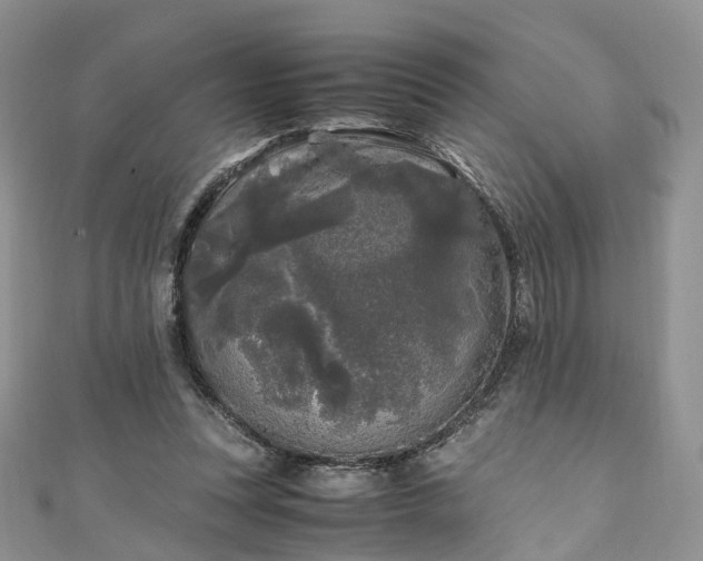 X0000111010351200906261524