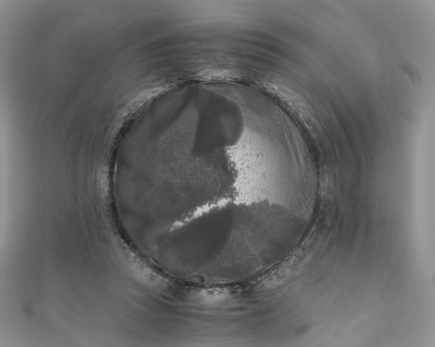 X0000111010353200906261524