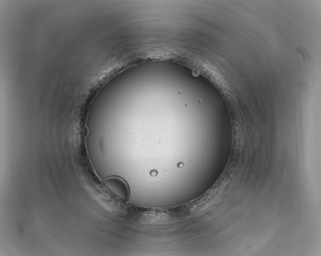 X0000111010354200906261524