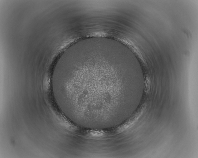 X0000111010355200906261524