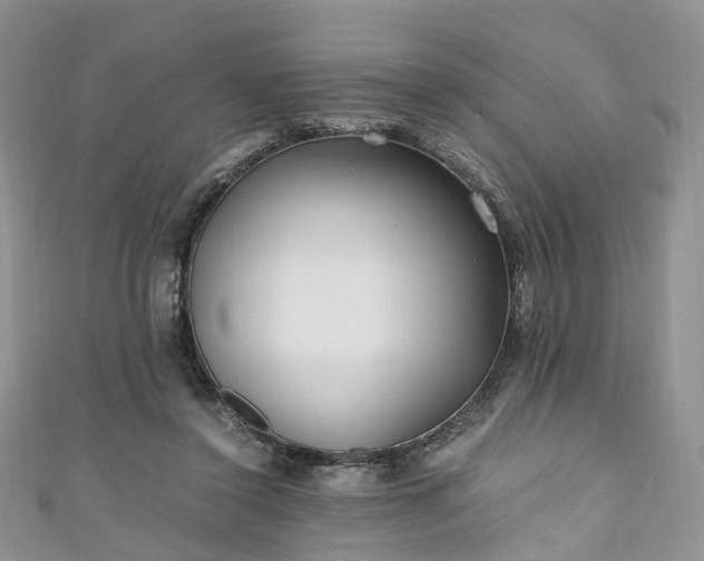X0000111010356200906261524