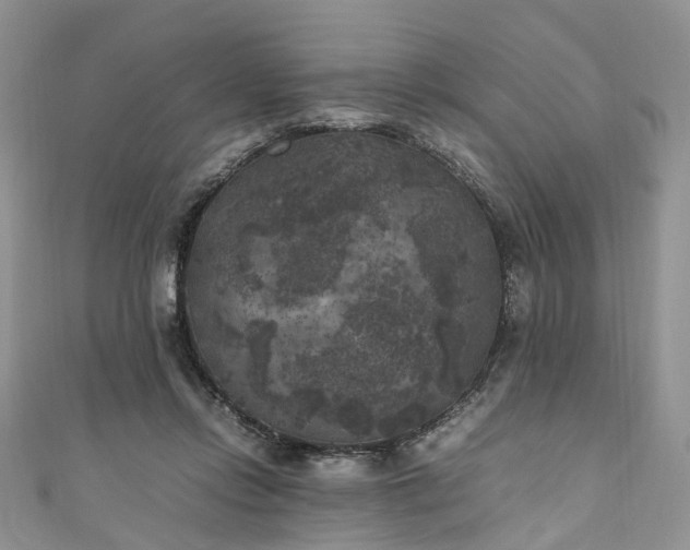 X0000111010358200906261524