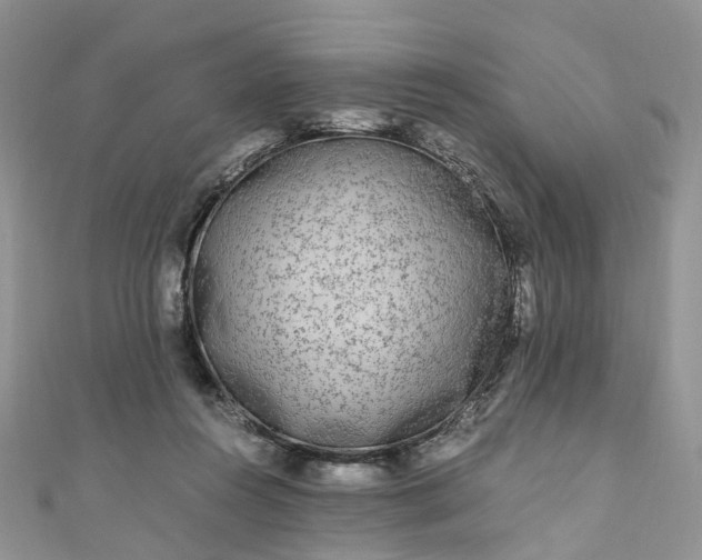 X0000111010360200906261524