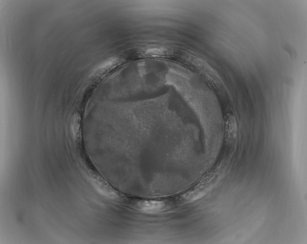X0000111010361200906261524