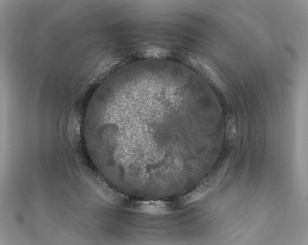 X0000111010363200906261524