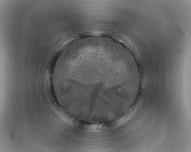X0000111010366200906261524