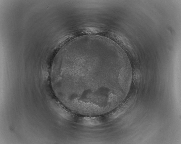 X0000111010367200906261524