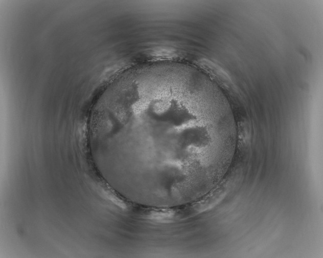 X0000111010369200906261524