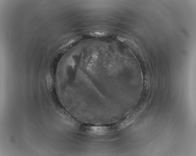 X0000111010371200906261525