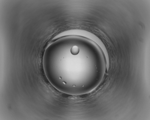 X0000111010372200906261525