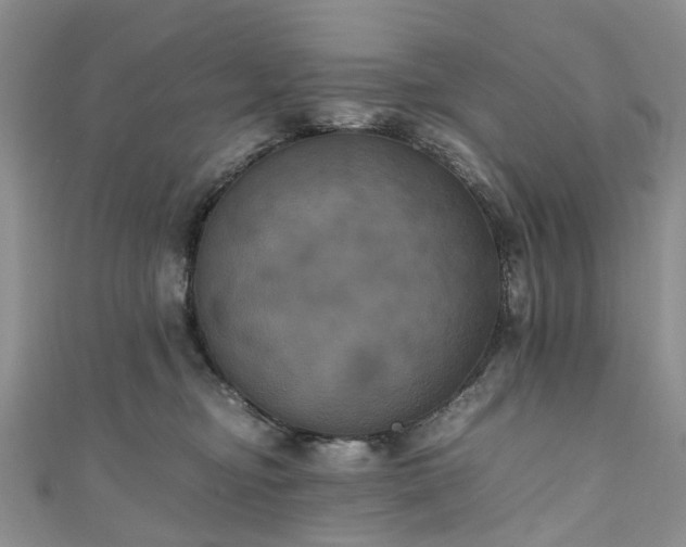 X0000111010374200906261525