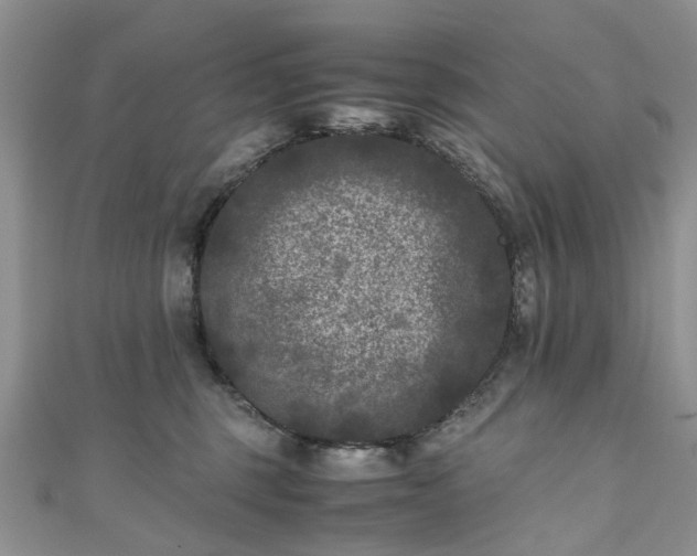 X0000111010375200906261525