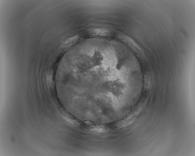 X0000111010377200906261525