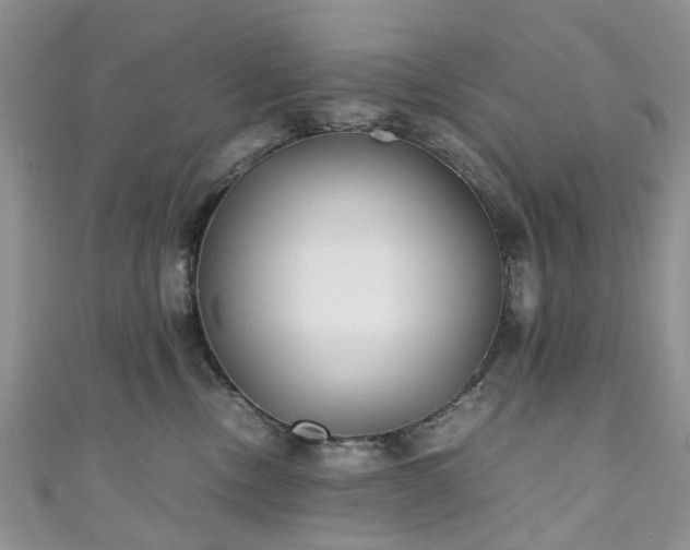 X0000111010378200906261525