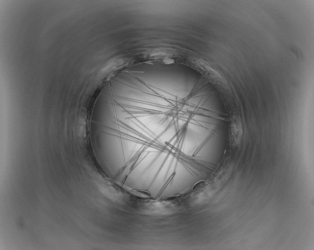 X0000111010379200906261525