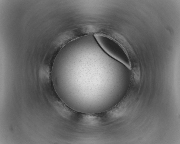 X0000111010380200906261525