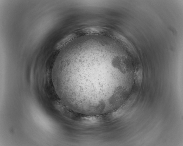 X0000111010381200906261525