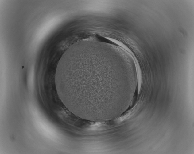 X0000111010382200906261525