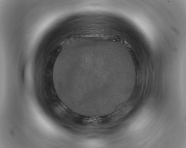 X0000111010383200906261525