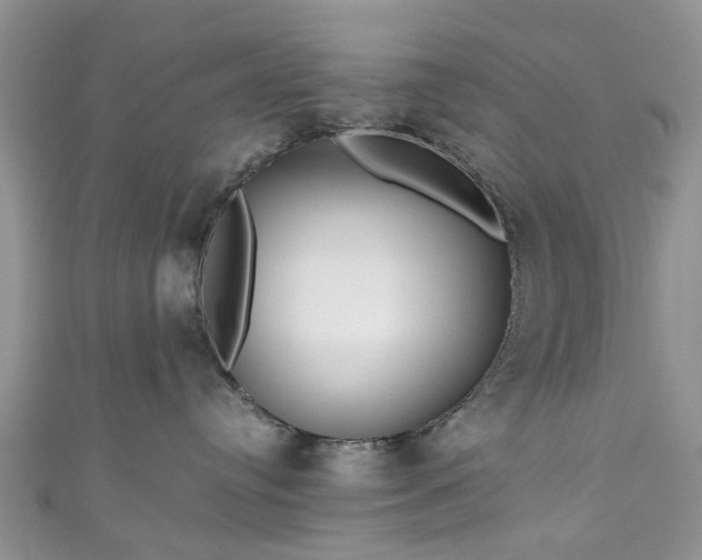 X0000111010384200906261525