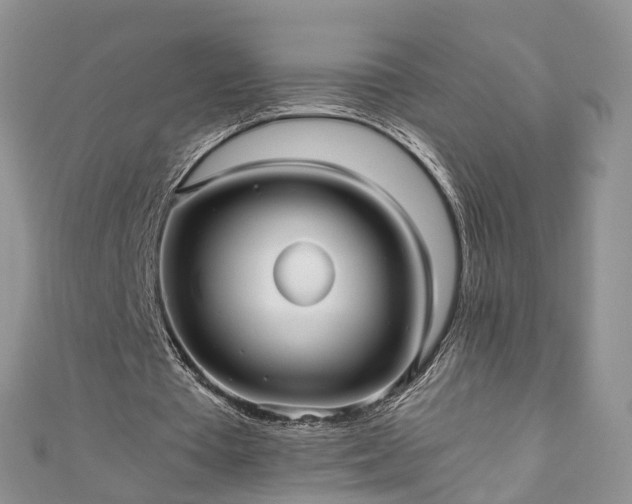 X0000111010385200906261524