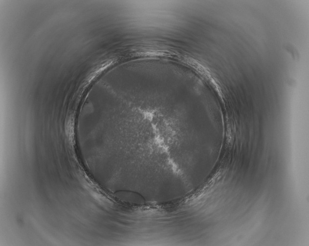 X0000111010386200906261524