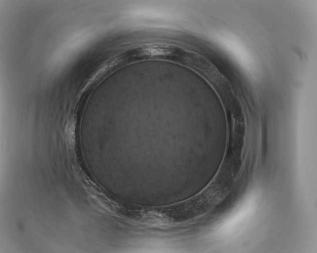 X0000111010387200906261524