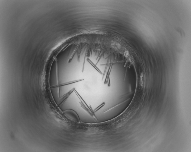 X0000111010388200906261524