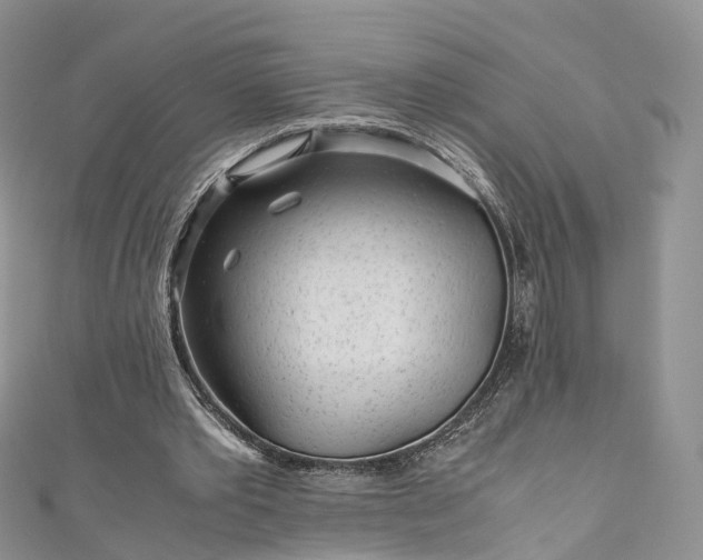 X0000111010389200906261524