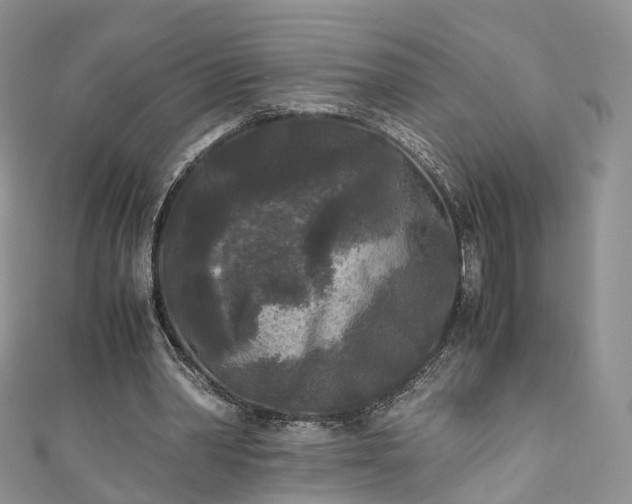 X0000111010390200906261524