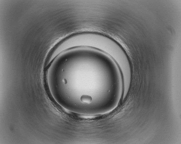 X0000111010391200906261524