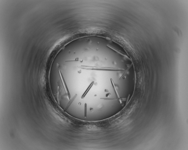 X0000111010392200906261524