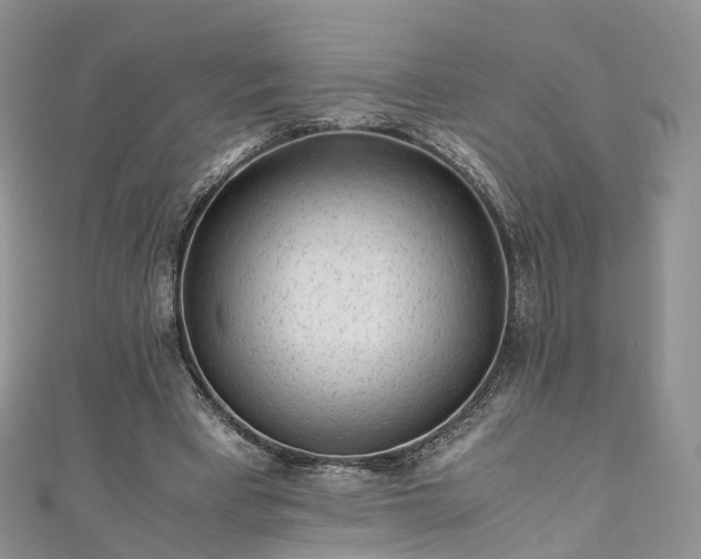 X0000111010393200906261524