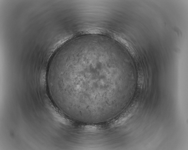 X0000111010394200906261524