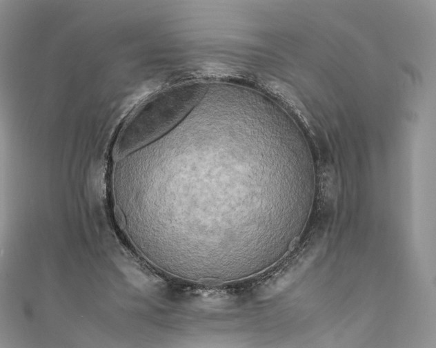 X0000111010395200906261524