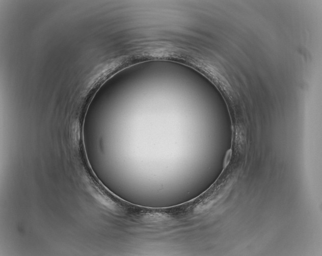 X0000111010397200906261524