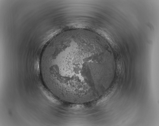 X0000111010398200906261524