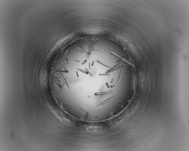 X0000111010400200906261524