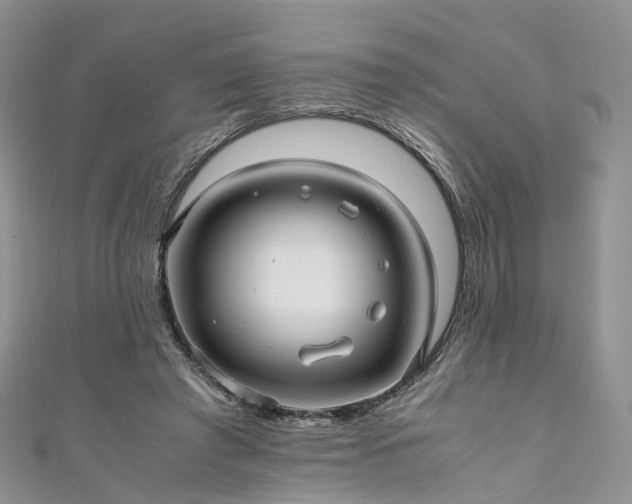 X0000111010401200906261524